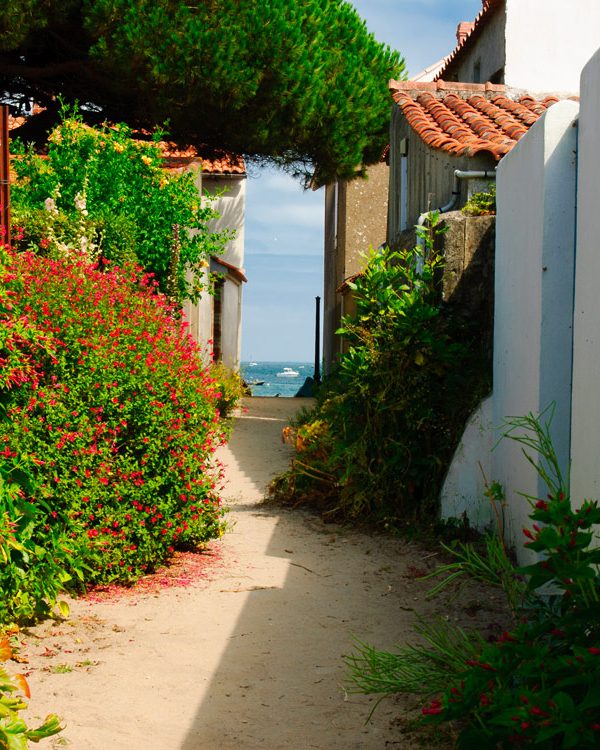 noirmoutier-ruelle-plage-blog-the-world-post noirmoutier-ruelle-plage-blog-the-world-post